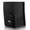 GŁOŚNIK PODSTAWKOWY SVS ULTRA EVOLUTION NANO